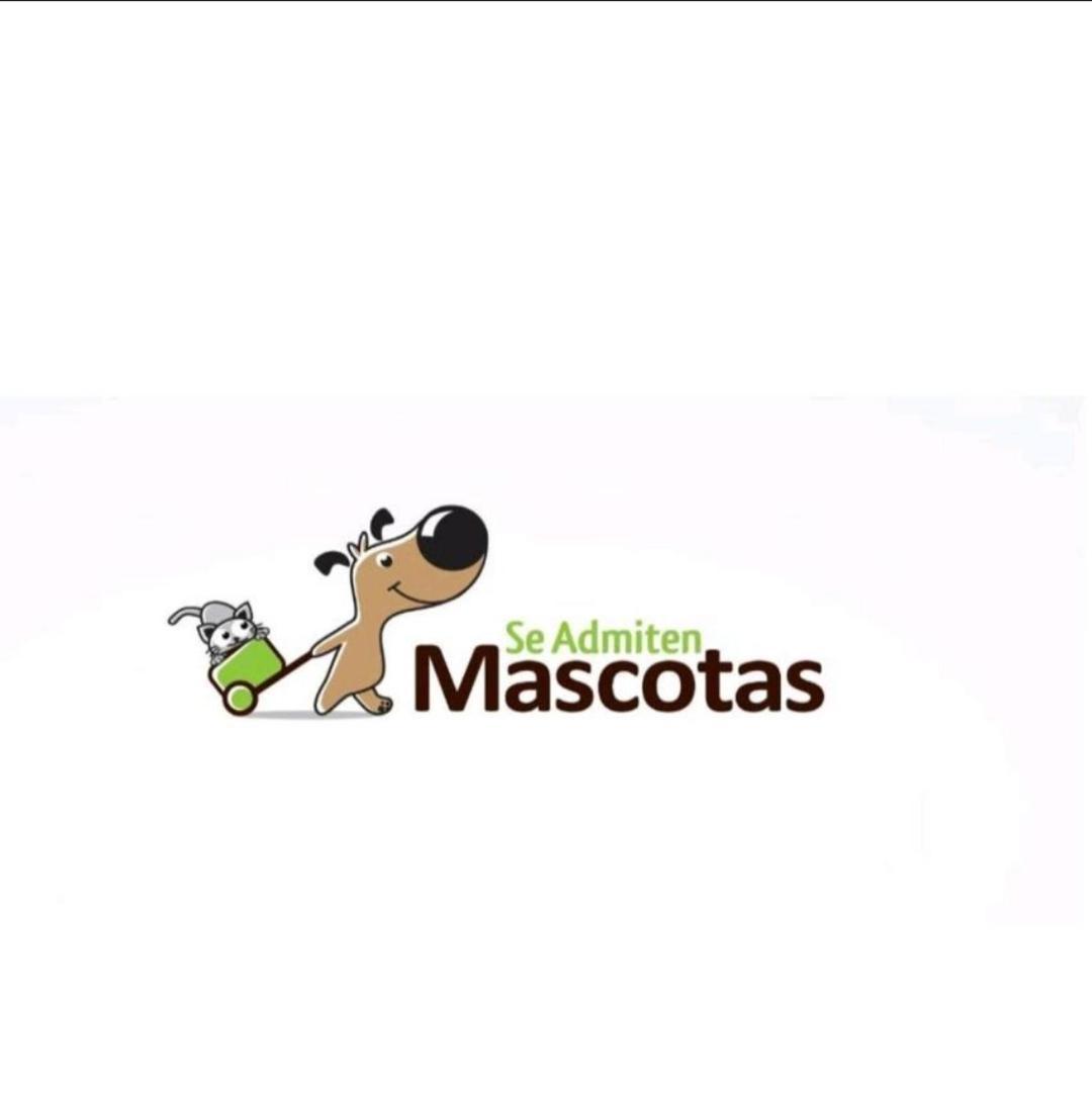 Camino De La Sierra Mascotas Si Apartment La Zubia (Granada)